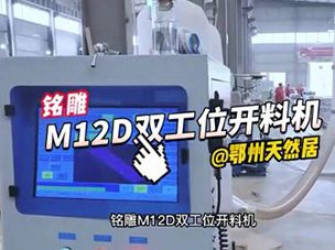 M12D雙工位數(shù)控開料機到達鄂州天然居板材切割視頻